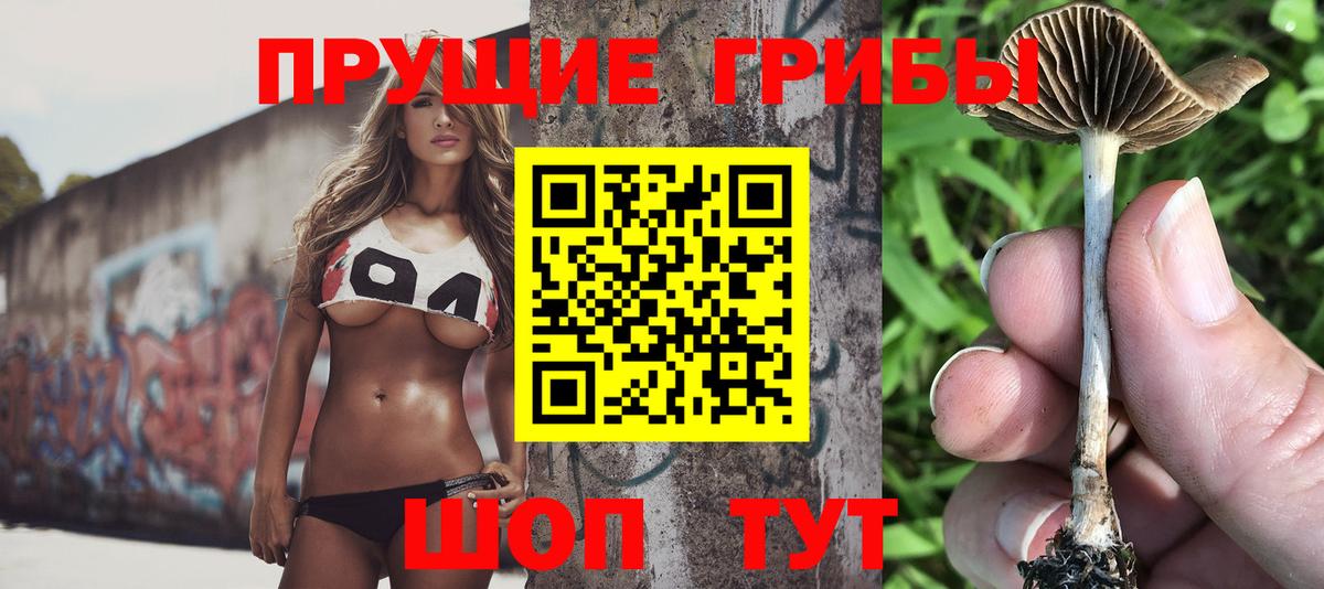 Псилоцибиновые грибы Psilocybe  Псилоцибиновые грибы Psilocybine cubensis  Джанкой  Вход с VPN 